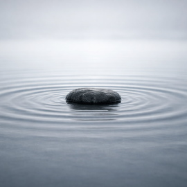 Change is Everywhere. Progress is Not.